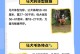 马犬的饲养指南（了解马犬的基本饲养方法，打造幸福健康的生活）