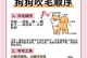 幼犬出售多久能洗澡？（犬只健康与洗澡时机的）