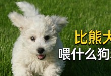 小狗四个月应该吃什么狗粮好？（为宝贝选择合适的狗粮非常重要，快来了解吧！）