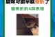 猫咪腿骨折的症状与处理方法（了解猫咪腿骨折的常见症状，及时处理保护宠物健康）