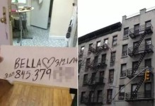 养金毛真的烧钱吗？（如何合理安排养狗支出，让养金毛成为一种乐趣？）