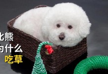 为什么狗狗突然不吃狗粮了？（探寻狗狗拒食狗粮的原因及解决方法）