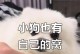 博美幼犬的睡眠需求及习惯（揭秘博美幼犬的睡眠习惯和理想睡眠时间）