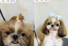 狗狗美容全解析（打造宠物狗狗的美丽与健康）