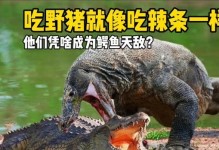 商品鳄鱼的饮食习性与营养需求（揭秘商品鳄鱼的食物来源及理想饲养方式）
