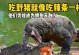 商品鳄鱼的饮食习性与营养需求（揭秘商品鳄鱼的食物来源及理想饲养方式）