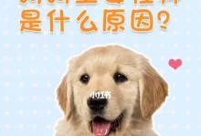 狗狗掉牙的原因及口腔清洁措施（保护宠物狗狗牙齿健康的重要性）