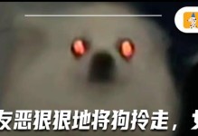一种不抓人不咬人的狗品种解析（探索狗类中最温和友善的品种，）