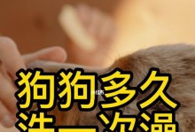 幼犬的饮食需求及喂养时间表（详解幼犬成长阶段的饮食安排与养护要点）