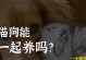 小猫的理想伴侣（小猫和其他宠物的合适搭配及注意事项）