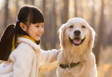 选择适合小朋友养的狗，你需要知道的关键要素（以小朋友养什么狗最合适？关注品种、性格和适应性）