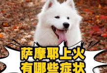 泰迪狗上火的症状及解决方法（了解泰迪狗上火的常见症状，保护它的健康）