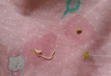 夏天小猫吐东西，看颜色就知道问题严重程度！（以宠物为主，要警惕小猫吐出的颜色，这是为什么？）