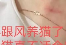 为什么猫不适合家养？（探索猫咪不适合家庭环境的原因及影响）