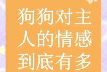 狗狗需要多长时间才能认主人？（狗狗与主人情感的建立需要时间）