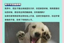 四个月大的狗一天需要睡眠多久？（揭秘小狗熟睡的奥秘，睡眠对幼犬成长的重要性）