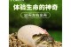 龟蛋受精观察的时间及过程（揭开龟蛋孵化之谜的关键步骤）