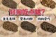 狗狗吐出异物怎么办？（给狗狗吃什么药可以帮助解决问题？）