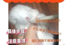 龙猫饲养注意事项（细致入微的关爱让龙猫健康快乐）