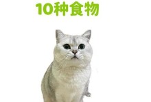 比熊的营养需求与最佳补充品选择（了解比熊所需的营养品，打造健康可爱的毛孩）