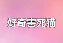 猫的好奇心（探究猫的好奇心的原因及其重要性）