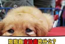 小狗生病了，怎么喂养才能帮助它康复？（为你的小狗提供正确的饮食，关爱它的健康）