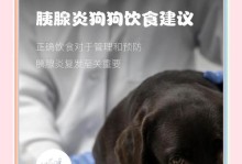 幼犬消化食物需要多长时间？（探究幼犬消化食物所需的时间及影响因素）