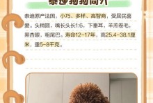 泰迪狗狗的牙齿换牙周期（了解泰迪狗狗的牙齿成长及换牙特点）