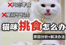 猫吃猫粮的感受与享受（探究猫咪对猫粮的喜好及其背后的原因）