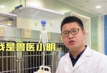 金毛中暑急救攻略（以3个月金毛中暑吃什么药为主题的救治措施）