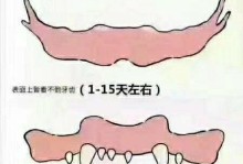 如何鉴别狗狗的年龄？（掌握技巧，识别毛孩子的年纪）