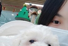 扛把子比熊犬（深入探索比熊犬的可爱与魅力，发现它们的独特之处）