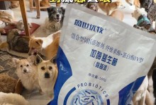 幼犬喂养指南（探讨小狗满月后的饮食需求，为新手提供幼犬喂养的全面指南）
