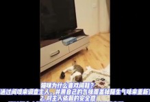 人们喜欢养宠物的原因及好处（探究人类养宠物的心理需求和生活改善）