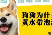 狗狗吐黄沫子的原因及治疗方法（探究狗狗吐黄沫子的几种原因及如何有效治疗）