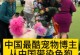 染色狗的发现时刻（细心宠主的关键在于耐心观察）