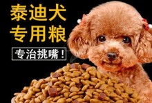 小泰迪的饲养注意事项（以泰迪幼犬狗粮喂养的要点）