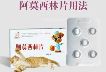 探究猫吃什么感冒药（为您揭开猫咪感冒药的神秘面纱）