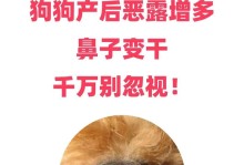 狗鼻子为何会变浅？（探究狗鼻子颜色变浅的原因及其影响）