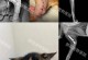 猫骨折康复时间及注意事项（了解猫骨折康复过程和保健要点）