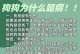 狗狗突然丧失腿脚活动能力的原因及处理方法（探究狗狗突然无法行动的病因和救治之道）