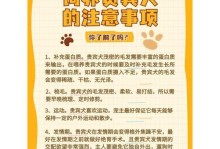贵宾犬挑食的误区及应对方法（不要再犯这些错误！）