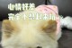 狗月经的注意事项（关注狗月经，让它们的生理变化更加舒适和安全）