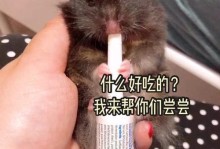 仓鼠拉软便的原因及治疗方法（仓鼠拉软便是常见的健康问题，但需要采取适当措施进行治疗）