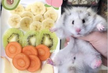仓鼠产后奶水丰盈的关键（饮食对仓鼠产后奶水质量的影响与调节）