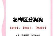 解析狗的胃炎（了解狗胃炎的症状及如何应对，保护你的爱宠健康）