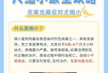 狗狗康复后多久可以恢复正常玩耍？（了解狗狗康复期与玩耍时间的关系）