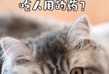 猫咪用药注意事项（保护你的猫咪免受不良药物反应的困扰）