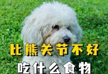 如何科学合理地给比熊犬定制每月饮食计划（探究比熊犬的饮食需求及合适的食物搭配）