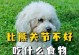 如何科学合理地给比熊犬定制每月饮食计划（探究比熊犬的饮食需求及合适的食物搭配）